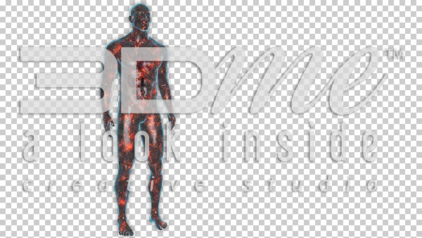 Nerve Activity Body 3