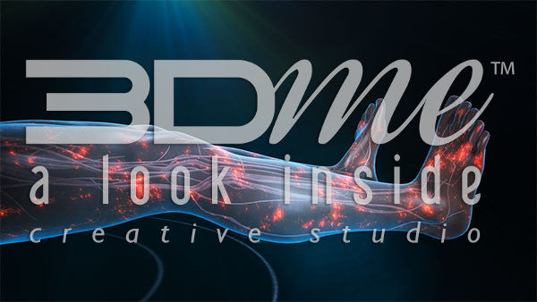 Nerve Activity Legs 2