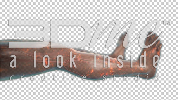 Nerve Activity Legs 3