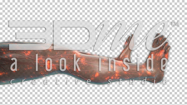 Nerve Activity Legs 4