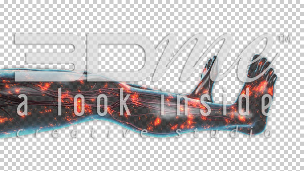 Nerve Activity Legs 5