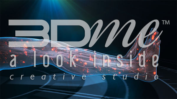 Nerve Activity Legs 6