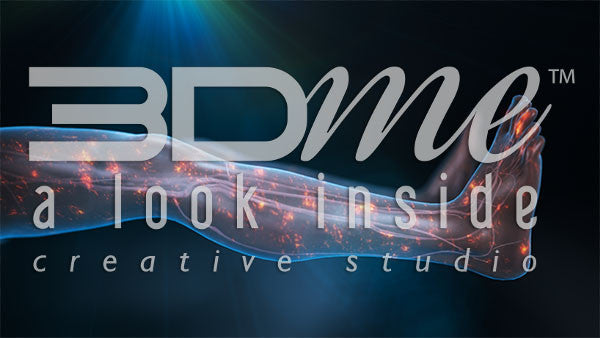 Nerve Activity Legs 7