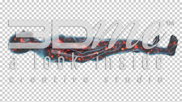 Nerve Activity supine 2