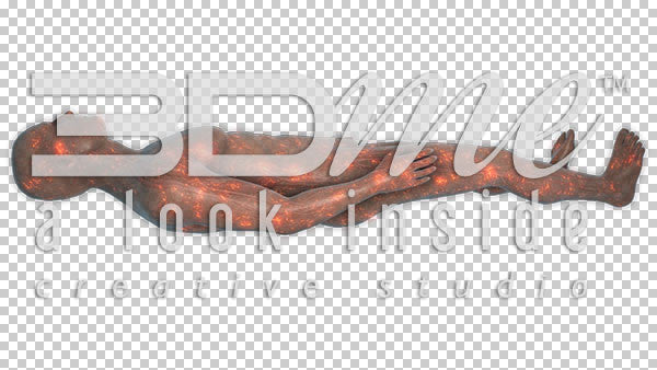 Nerve Activity supine 4