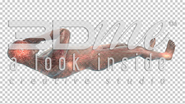 Nerve Activity supine 6