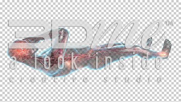 Nerve Activity supine 7