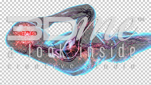 Nerve Activity supine 10