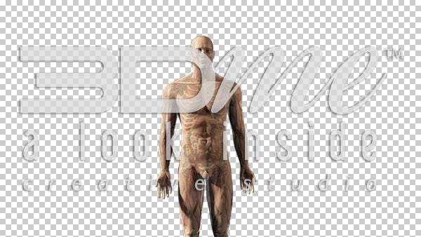 Nervous to Full Male 2