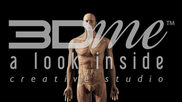 Nervous To Full Male 2