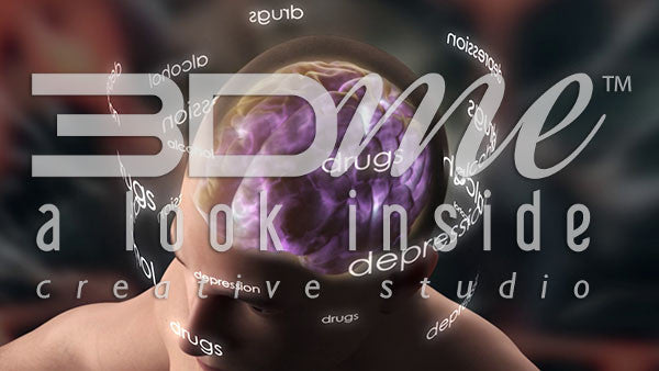 Neural Activity from Above (with text)