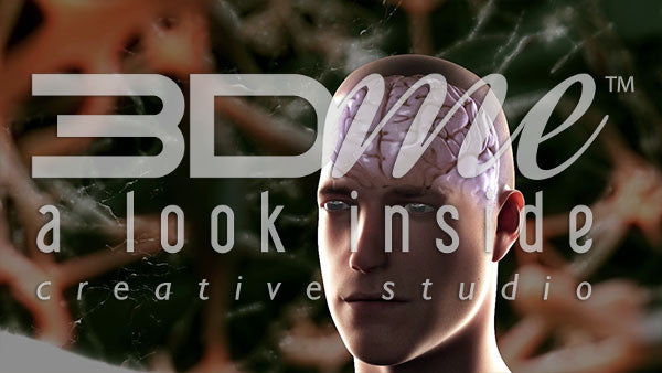 Neural Activity Anterior View