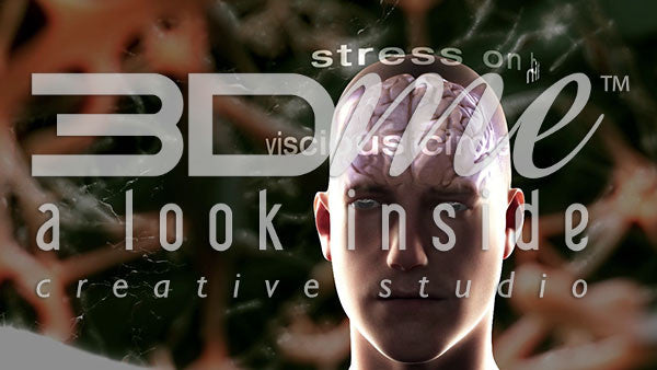 Neural Activity Anterior View (with text)