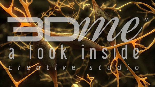 Neural Cells Zoomin 2