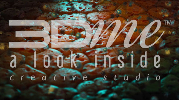 Pancreatic Beta Cells (DOF)