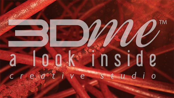 Small Blood Vessels 2