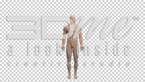 Male Zoom Belly Button