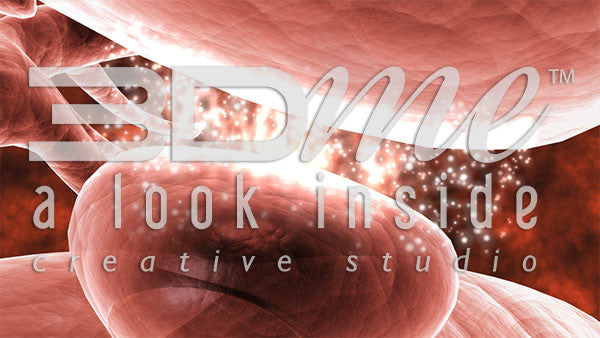 Synaptic Cleft Close 3