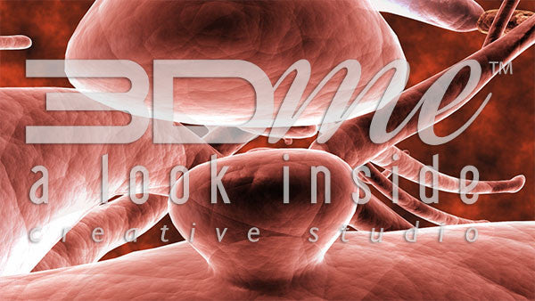 Synaptic Cleft Close 1