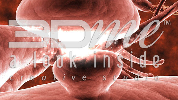 Synaptic Cleft Close 2