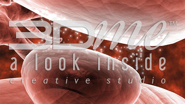 Synaptic Cleft Close