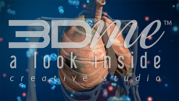 Ventilation & Perfusion