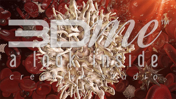 Viruses and Leucocytes 6