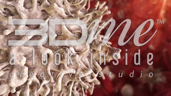 Viruses and Leucocytes