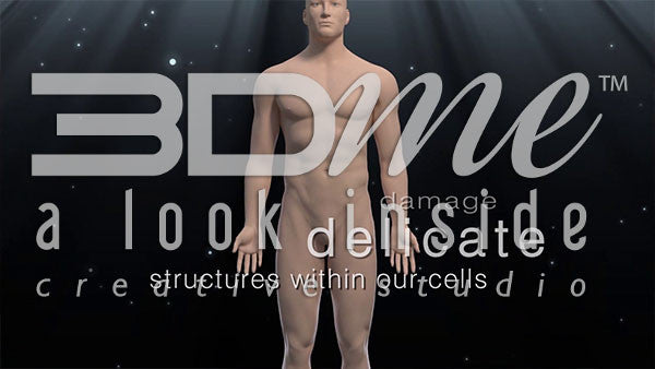 What are some lifestyle-based exposures that can damage our cells?