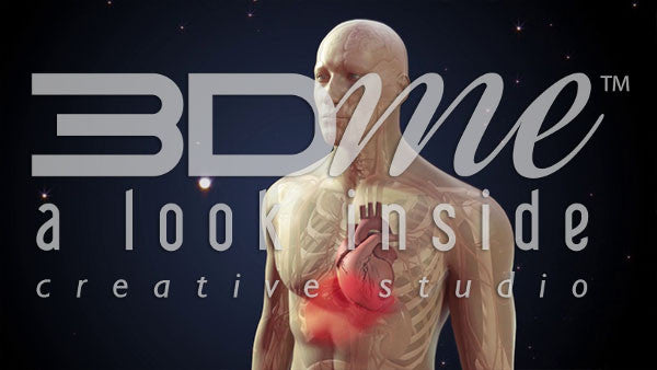 What are some organs the brain has a strong influence over?