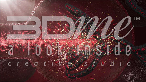 what are the main treatments for diabetic nephropathy?