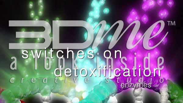 What does Sulphoraphane do to our cells?