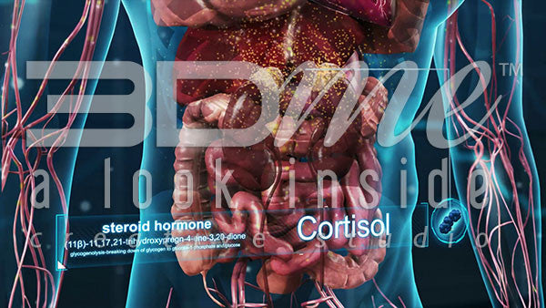 What happens inside the body when someone is ill?