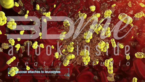 What is glycosylation?