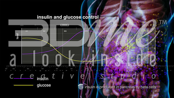 What is insulin?