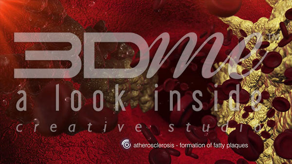 What kind of effect can diabetes have on the cardiovascular system?