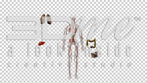 Zoom In Out Exploded View Insides 3