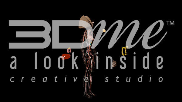 Zoom In Out Exploded View Insides