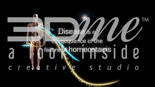 How is disease and homeostasis related?