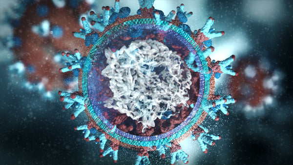 3D Image of Coronavirus surface Internal Structure