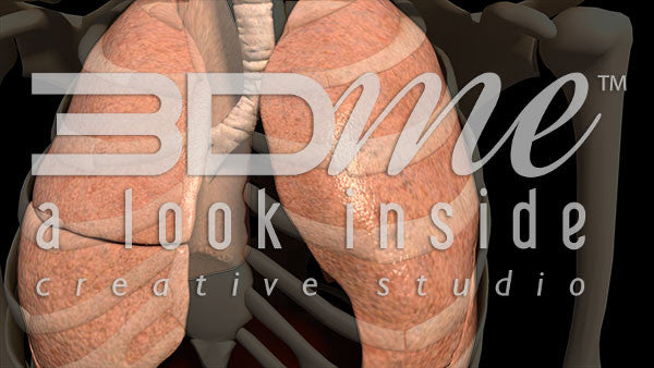 Lungs Pan Spinning Damage 1