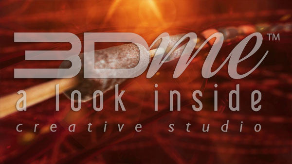 Blood Vessels Nerve Activity