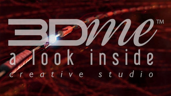 Blood Vessels and Nerve Cells