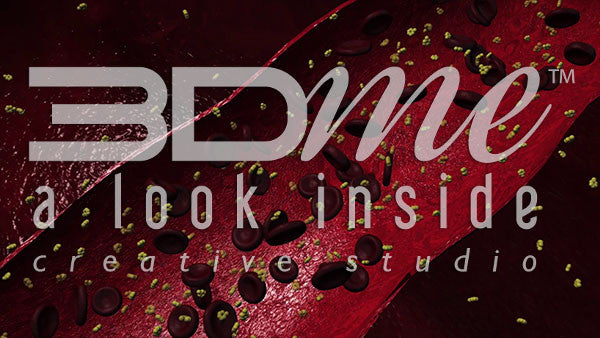 Bloodstream, blood cells and glucose