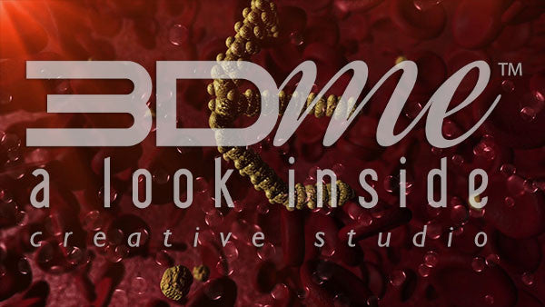 Bloodstream Triglycerides