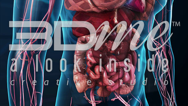 Kidneys and Adrenalin (without sparkles)