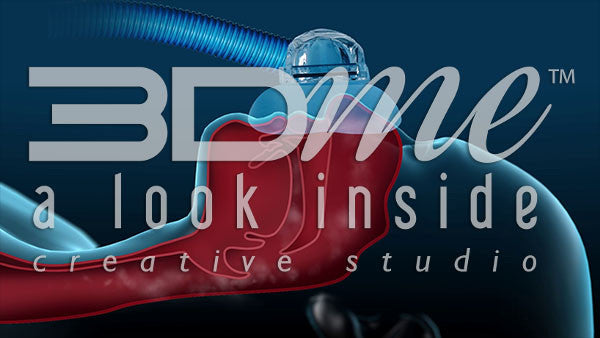 Crosssection of the esophagus