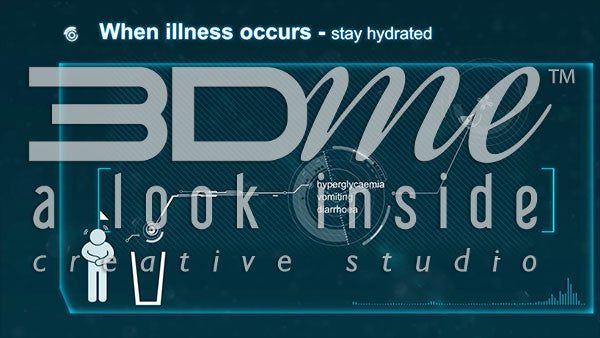 Diagram: When Illness occurs 2