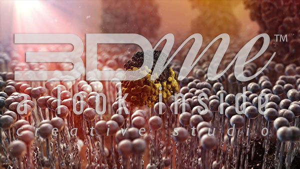 Insulin and Insulin Receptors