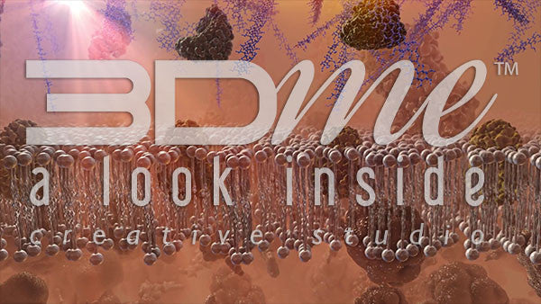 Insulin Receptors with high fat levels (DOF)